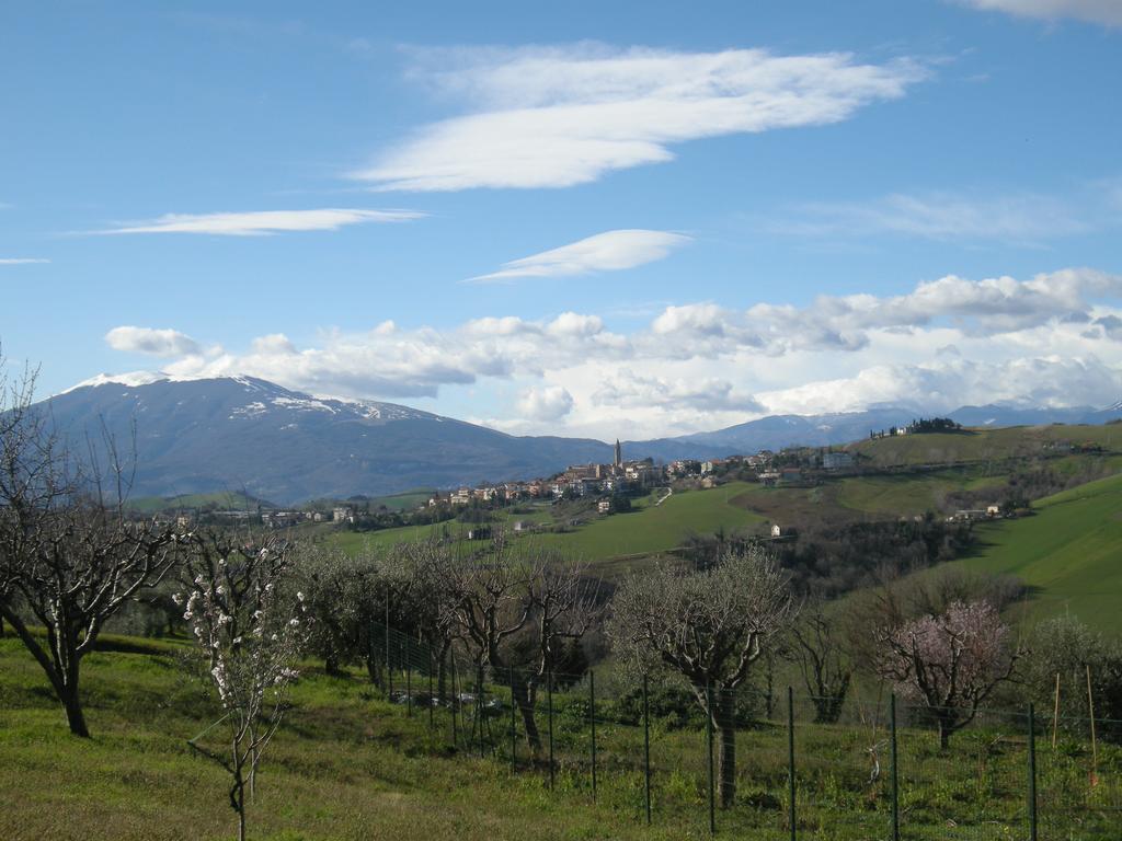 Bed And Breakfast San Martino Castignano Екстериор снимка